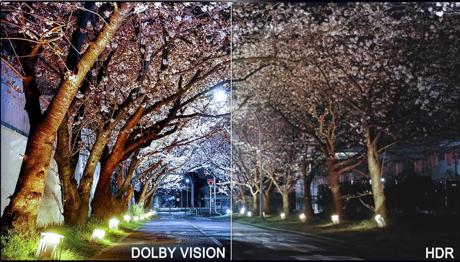 Video HDR Dolby Vison trên iPhone 12 là gì? Có gì khác HDR10, HDR10+?